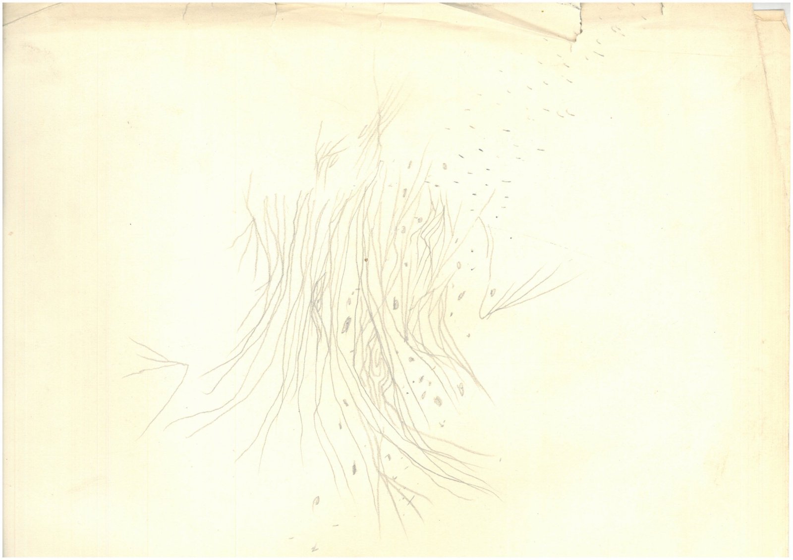 Sineo-364e20061514400_0011.jpg