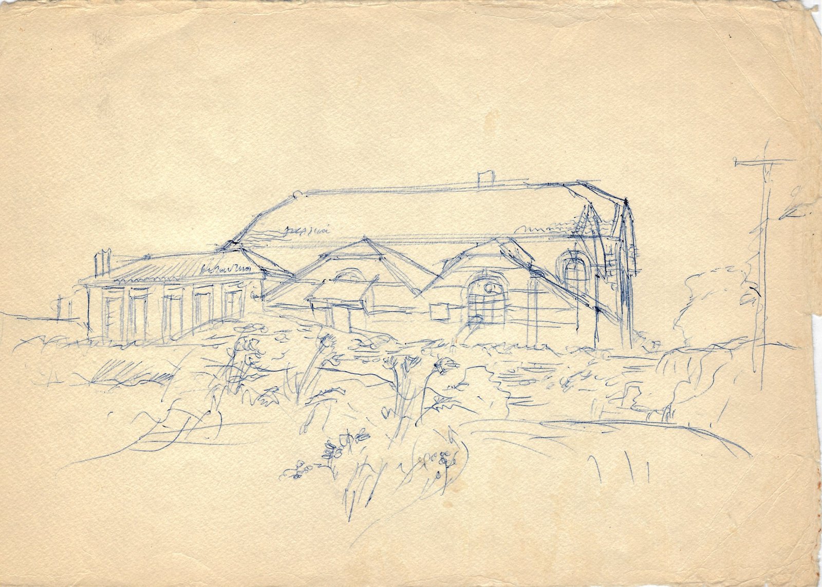 26_644.jpg