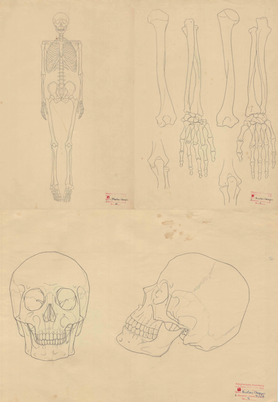 Screen Shot 2020-10-09 at 13.18.04